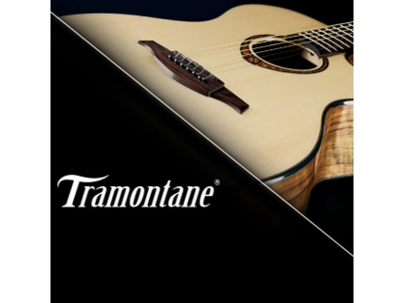 LAG has presented a new guitar!