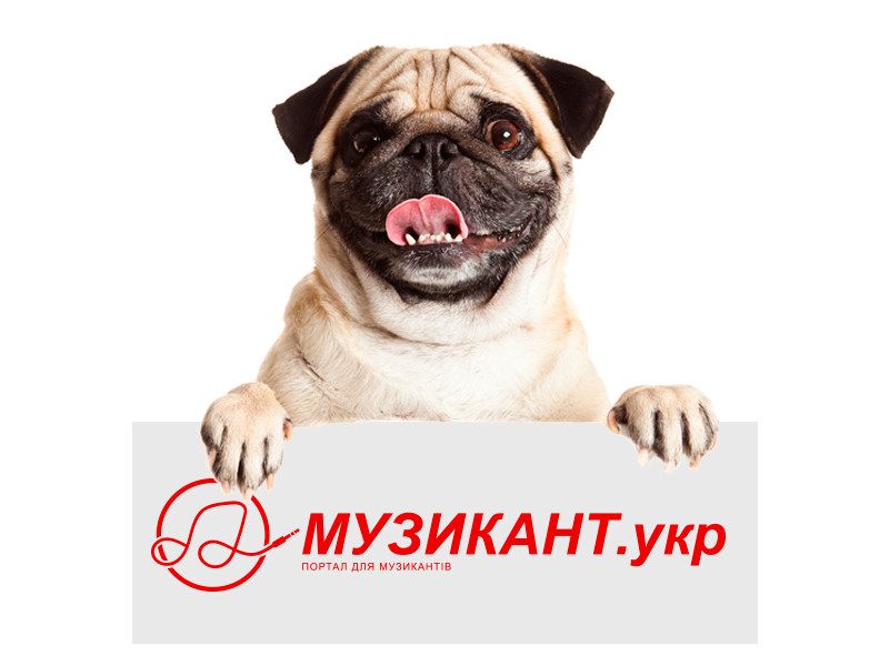 DOG-Марафон, или Причём здесь «Музыкант»?