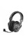 Headphones Beyerdynamic DT 297 PV MK II
