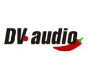 DV Audio