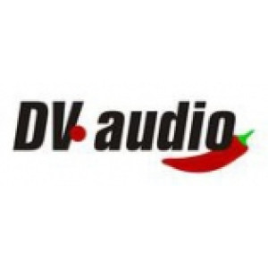 DV Audio