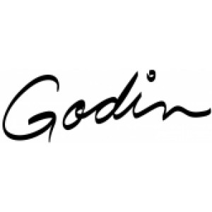 Godin 
