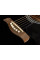 Acoustic-Electric Guitar Richwood RA-12-CEBK