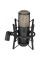 Universal Microphone AKG P220