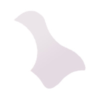 Накладка на деку гітари Alfabeto BIRD-CL