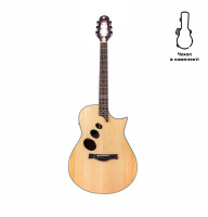 Акустична гітара Alfabeto Gamma (Natural) + чохол