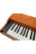 Digital Piano Alfabeto Animato Assai Limited Edition