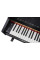 Цифровое пианино Alfabeto Concertino (Black)