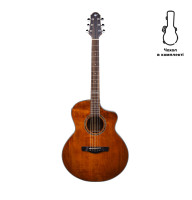 Акустична гітара Alfabeto Solid Elegance Awesome + чохол
