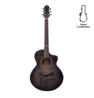 Акустична гітара Alfabeto Solid Elegance Classic + чохол