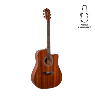 Акустична гітара Alfabeto SAPELE WS41 ST + чохол