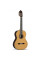 Classical Guitar Alhambra 8P with Case/Trunk
