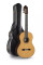 Classical Guitar Alhambra 8P with Case/Trunk