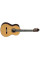 Classical Guitar Alhambra 8P with Case/Trunk