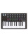 MIDI Keyboard Arturia Minilab MkII Black Edition + Arturia Analog Lab V
