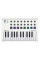 Midi Keyboard Arturia MiniLab MkII (discounted)