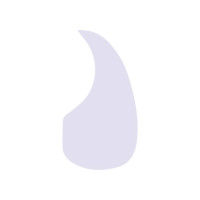 Панель Pickguard D'Andrea 376B SM CLR