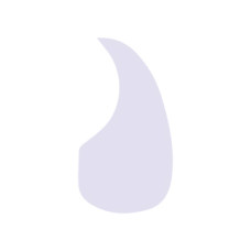 Панель Pickguard D'Andrea 376B SM CLR