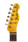 Electric Guitar Fender Custom Shop 1972 Tele Thinline Custom Journeyman Relic LTD (Custom Built)