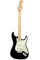 Електрогітара Fender Player Stratocaster MN (Black)