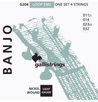Струны для банджо Gallistrings G204 (.010-.032), Steel