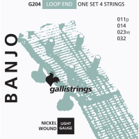 Струни для банджо Gallistrings G204 (.010-.032), Steel