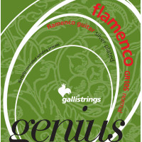 Струни для класичної гітари Gallistrings GR105 (.029-.044), ProCoated, NORMAL, Silver