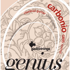 Струни для класичної гітари Gallistrings GR95 (.024-.044), Carbonino, ProCoated, NORMAL, Silver