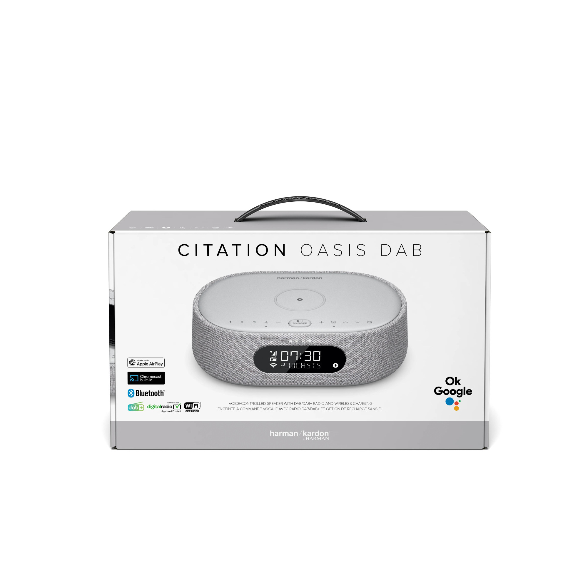 Портативна акустика harman/kardon Citation Oasis (Grey)