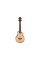 Electroacoustic Ukulele Ibanez AUC10E-OPN (Open Pore Natural)