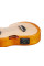Electroacoustic Ukulele Ibanez AUC10E-OPN (Open Pore Natural)