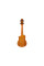 Ukulele Ibanez AUP10N-OPN (Open Pore Natural)