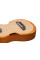 Ukulele Ibanez AUP10N-OPN (Open Pore Natural)