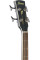 Акустична бас-гітара Ibanez PCBE14MH WK