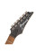 Electric Guitar Ibanez RG421 MOL