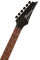 Electric Guitar Ibanez RG421EX BKF