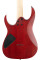 Electric Guitar Ibanez RG421PB CHF