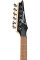 Electric Guitar Ibanez RG421PB CHF