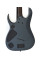 Электрогитара Ibanez RGD71ALMS BAM