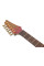 Електрогітара Ibanez SML721-RGC (Rose Gold Chameleon)