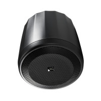 Акустическая система (сателлит) JBL Control65P/T
