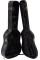 Case/trunk Lag For 12-String Acoustic Guitar 100D-12 (41" Dreadnought)