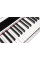 Цифровое пианино Orla PF100 (White)