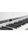Цифровое пианино Orla PF100 (White)