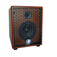 Комбоусилитель для акустических инструментов Prodipe Natural 6 (Cherrywood)