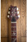 Electric Guitar PRS Paul's Guitar 10-Top (Yellow Tiger) #0369896