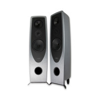 Підлогова акустика Rega AYA