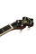 Банджо Richwood RMB-605