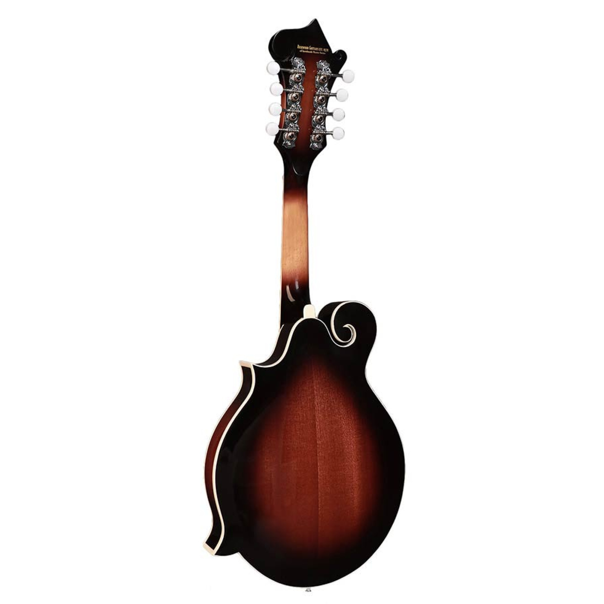 Mandolin Richwood RMF-60-VS