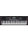 Synthesizer Roland E-X10